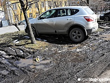 Власти Екатеринбурга поделились планами облавы на гряземесов