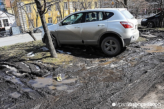 Власти Екатеринбурга поделились планами облавы на гряземесов
