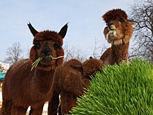 Куда сбежать от осенней хандры на ноябрьские праздники