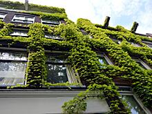 Эксперт: «зеленые» технологии в строительстве делают недвижимость дороже, но они необходимы