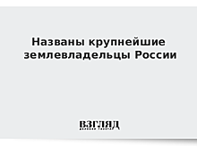 Названы крупнейшие землевладельцы России