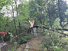 В подмосковной Коломне устраняют последствия урагана