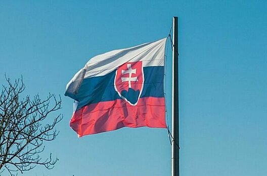 В Словакии призвали нормализовать отношения с Россией