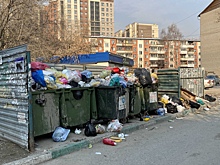 В Новосибирской области назначили нового регоператора по обращению с ТКО