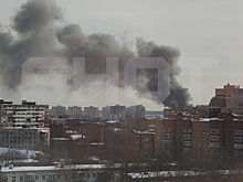 В Подмосковье произошел мощный пожар