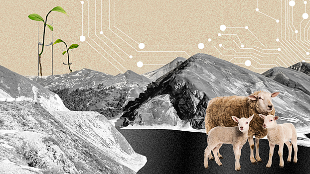 Специальный репортаж: как современная наука меняет Чечню