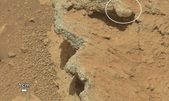 Уфолог обнаружил бутылку и скульптуру крокодила на Марсе