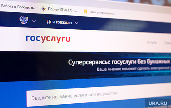 Полиция Екатеринбурга отказалась расследовать взлом Госуслуг