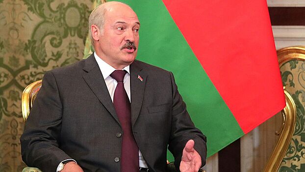 Взобравшийся на стол шпиц Лукашенко поразил журналистку из РФ