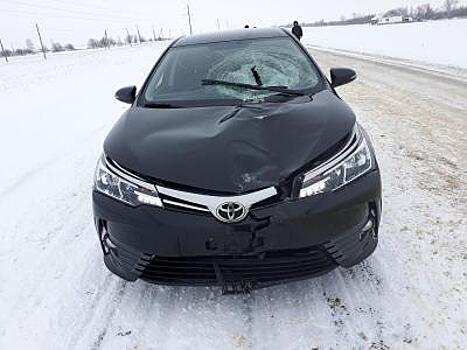 На рязанской трассе Toyota насмерть сбила 63-летнего пешехода