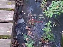 Нижегородцы жалуются на канализационные реки в лесах