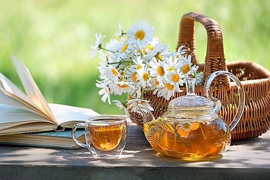 Врачи рассказали о неочевидной опасности ромашки