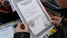 В России откажутся от бумажных лицензий