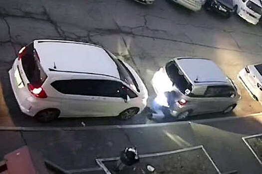 В Приморье на видео попало, как мужчина головой разбил автомобиль