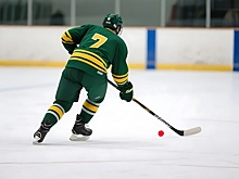 Иванушкин: русский хоккей должен вновь стать русским