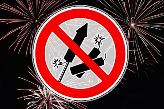 В Костромской области запретили продавать и использовать пиротехнику