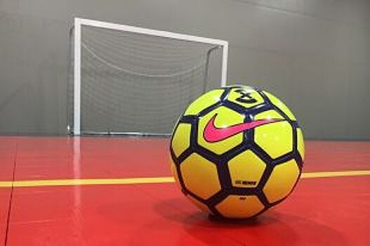 Грозненский «Беркут» уступил самарскому «Динамо»