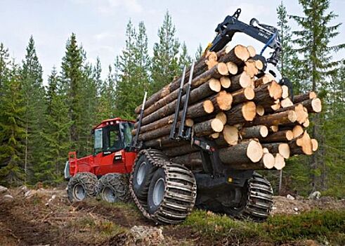 В крупнейшей лесопромышленной компании Приморья срубили миллиарды