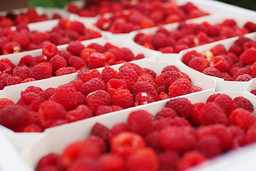 Урожай ягод в Кабардино-Балкарии превышает прошлогодний на 30%