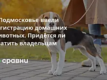 В Подмосковье ввели регистрацию домашних животных. Придётся ли платить владельцам