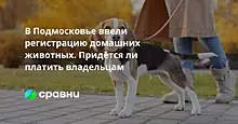 В Подмосковье ввели регистрацию домашних животных. Придётся ли платить владельцам