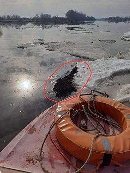 Предмет, похожий на тело человека, заметил прохожий в Каме в Сарапуле