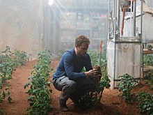 Российское эко-земледелие ждет космический уровень