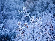 Вильфанд: в Сибирь пришла настоящая зима с 40-градусными морозами