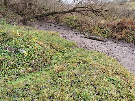 Не река, а сезонный ручей