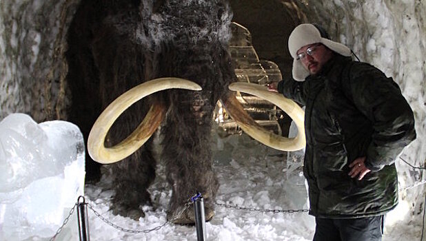 На севере Якутии нашли копье внутри скелета мамонта