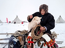 Таймыр примет новый Арктический фестиваль