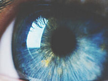 8 мифов о лазерной коррекции зрения