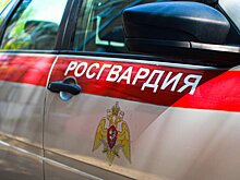 Росгвардейцы на юге Москвы задержали подозреваемого в краже
