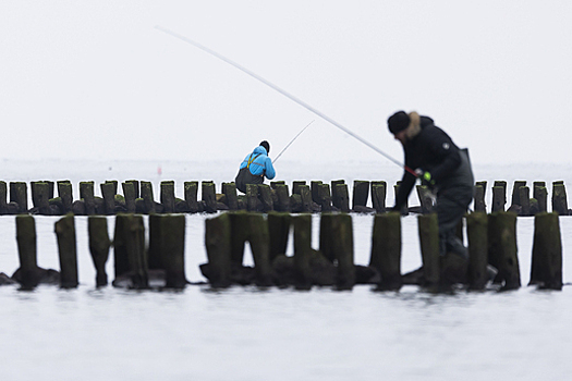 «Осенний драйв начался!»: калининградские рыболовы похвастались трофеями (фото)