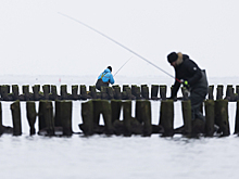 «Осенний драйв начался!»: калининградские рыболовы похвастались трофеями (фото)