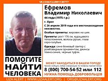 Пропал в апреле: в Орле продолжаются поиски Владимира Ефремова