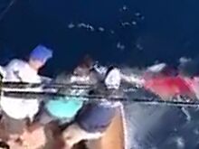 Если дернется, то я застрелю: в Сети обсуждают видео дорожного конфликта