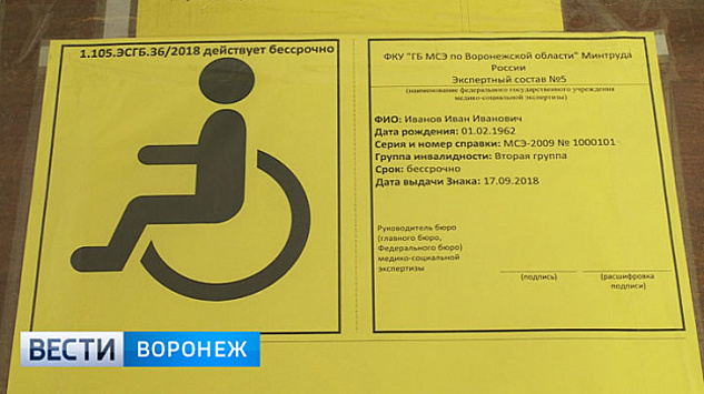 В Воронеже водителям начали выдавать знаки, дающие право на бесплатную парковку