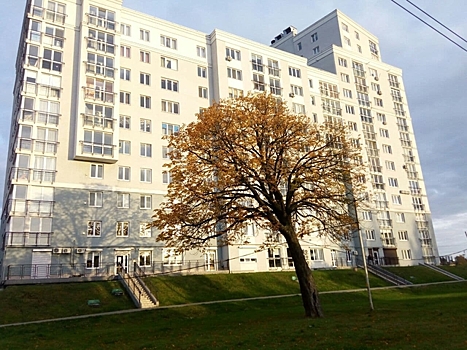 Три полосы движения на улице Буткова в Калининграде перекроют из-за строительства моста