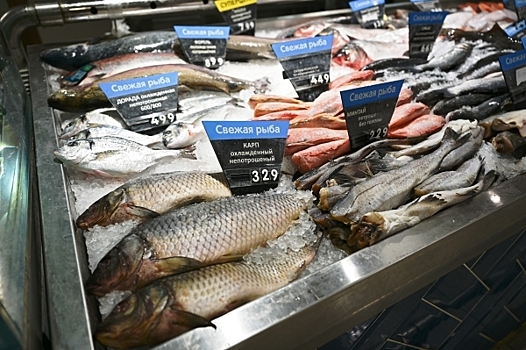 Рыбный день: Рыба в России вырастет в цене из-за повышения налога на  топливо
