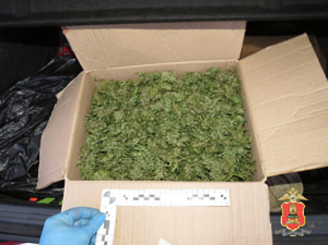 В Тверской области с крупной партией марихуаны задержан водитель, пытавшийся скрыться от полиции