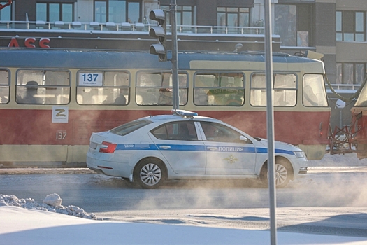 В Екатеринбурге задержали дебошира, кошмарившего соседей и избившего горожанина