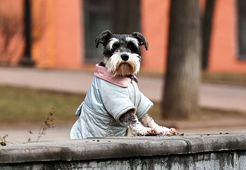 Прошедшая зима стала второй по теплу за всю историю. Когда было ещё жарче