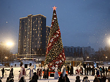 Новосибирск и три района вышли в финал конкурса за звание лучшей ёлки страны