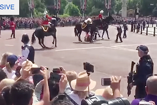 Экс-командующий британской армии на параде упал с лошади