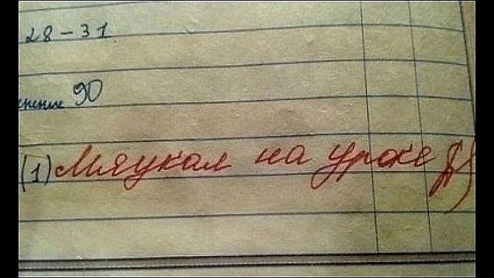 Когда не можешь сдержать свою кошачью сущность...