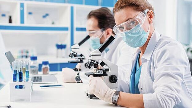 В южной части Болгарии выявили новый очаг птичьего гриппа