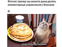 Объедуха и касаточка: лучшие мемы о Масленице