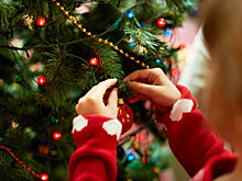 Фонд «Дети-бабочки» проведет благотворительную новогоднюю елку на Рубинштейна