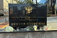 Южная Корея выразила соболезнования и поддержку народу России